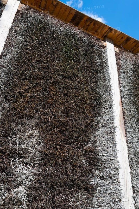 Kneipp wall made of branches in a wooden frame, in front of a blue sky, brine, graduation tower, health resort Milomlyn, Milomlyn, Lviv, Warmia-Masuria, Poland