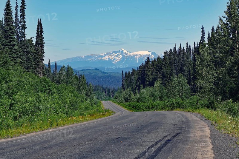 Narrow, traffic-free road leads through rugged mountain landscape, forest and snow-covered mountains, wilderness, Stewart Cassiar Highway, British Columbia, Canada