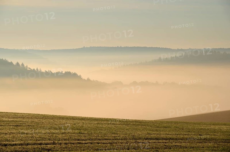 Landscape, Field, Valley, Forest, Fog, Morning, Altertheim, Würzburg, Bavaria, Germany