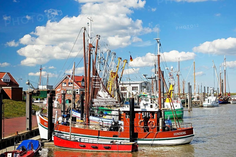 Fishing cutter, harbour, Ditzum, East Frisia, Lower Saxony, Germany