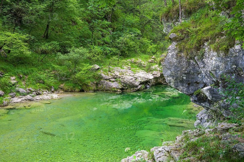 Emerald green river Pozze Smeraldine, Tramonti di Sopra, Province of Pordenone, Italy