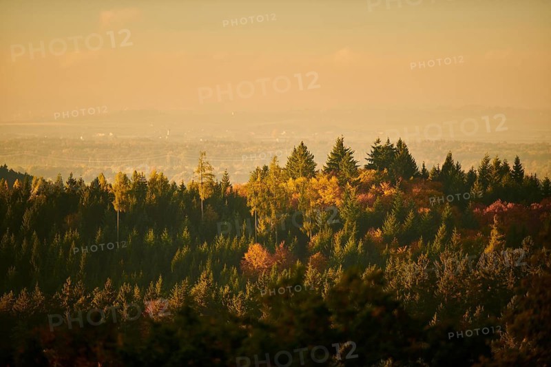 View over the trees and forest of the front bavarian forest in autumn near Wiesent, Upper Palatinate, Bavaria, Germany