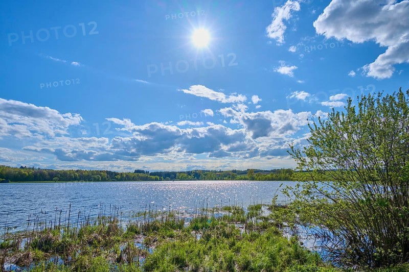 Ober- Moosersee surrounded by green fields and trees under a partly cloudy blue sky, spring, Freiensteinau, Vogelsberg, Hesse, Germany