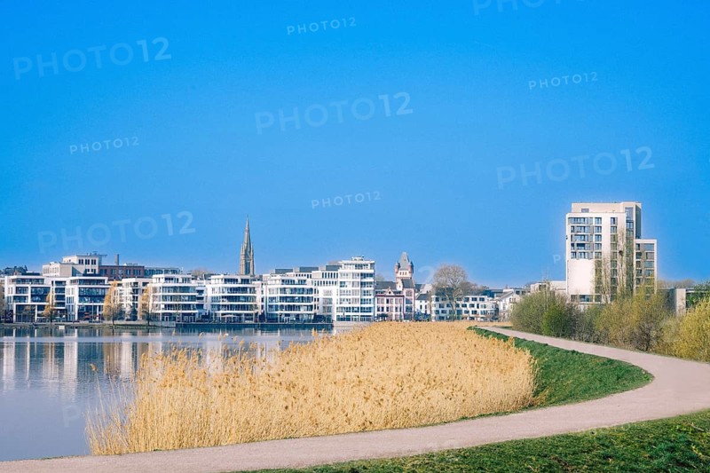 View of the circular path at Lake Phoenix, faded reeds, commercial buildings in the background, Dortmund, North Rhine-Westphalia, Germany