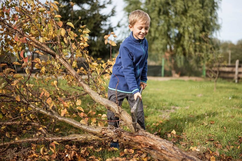 Seven year old smiling boy chopping a tree with an ax in the garden