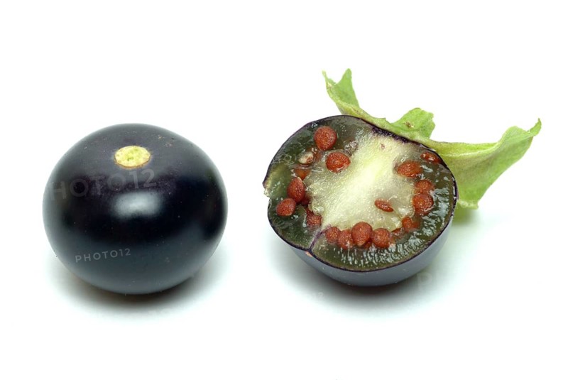 Food, fruit, black Jaltomata, Jaltomata procumbens is a plant species from the genus Jaltomata in the nightshade family