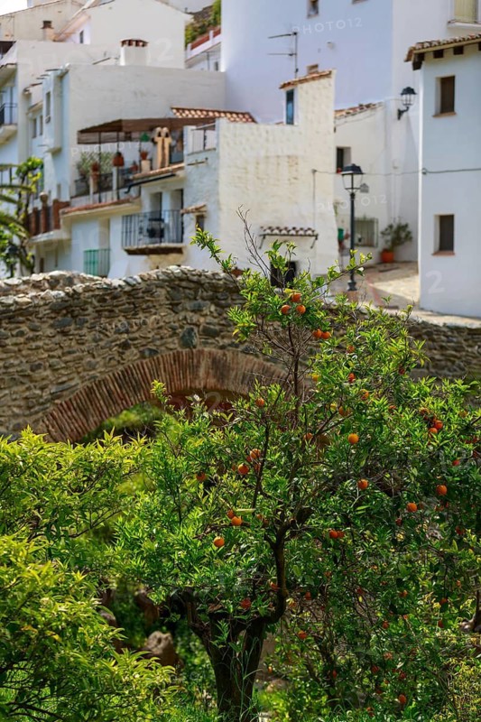 Historic Salares stone bridge at the foot of the Sierra Tejeda and orange tree in front of picturesque white houses in the traditional village of Salares, Malaga, Spain