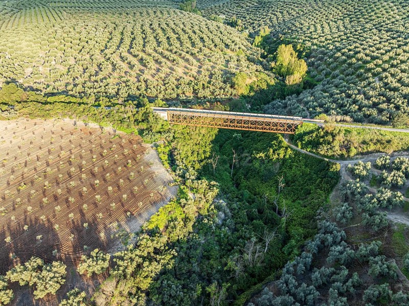 Cycle path Via Verde Del Aceite, cycle path on an old railroad line leading over a bridge, olive fields, near village Cabra, aerial view, Andalusia, Spain