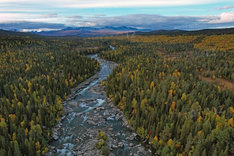Drone shot, view of the river Kamajakka, coniferous forest and birch forest, autumn, Sarek mountains in the background, Kvikkjokk, Jokkmokk, Norrbottens län, Lapland, Northern Sweden, Sweden