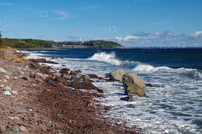 Rocks and waves on a coastline with blue sky and lush vegetation in the background, Tönsberg, Oslofjord, Norway