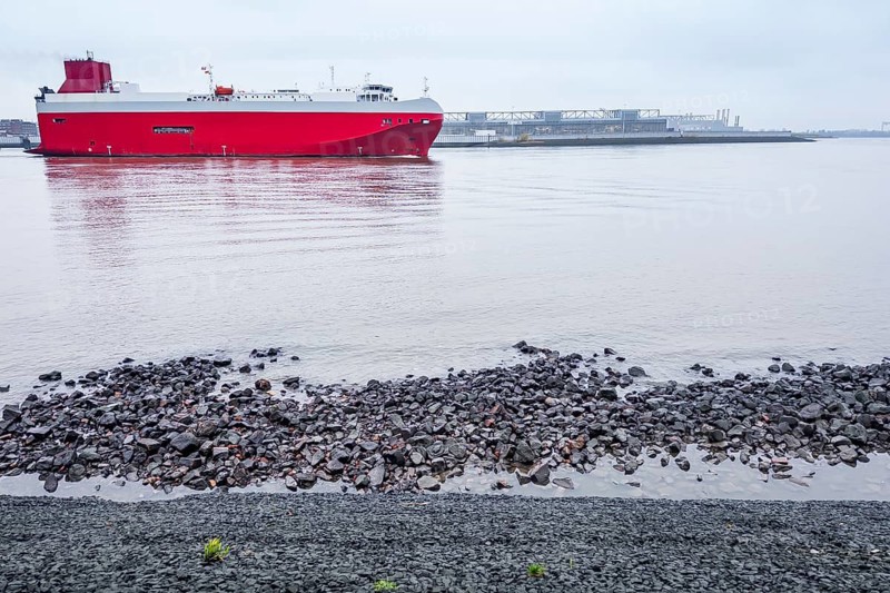 Transport ship on the Elbe in Hamburg harbour, customs, red, maritime trade, Germany