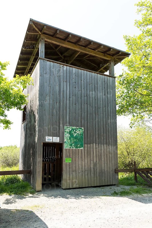 Observation tower in the Dubringer Moor nature reserve near Neudorf Klösterlich, Wittichenau, Saxony, Germany