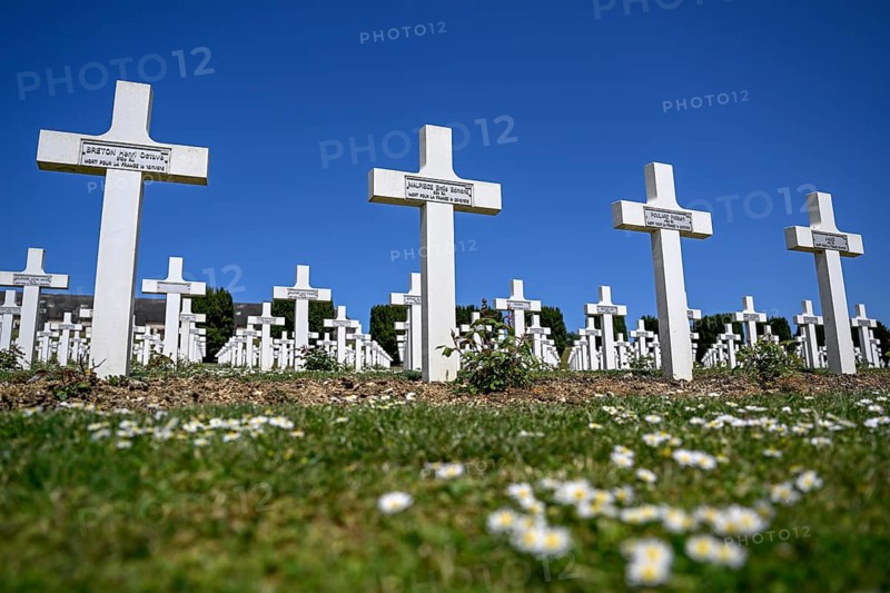 Crosses at the military cemetery near the Douaumont ossuary, First World War, Verdun, Grand Est region, France
