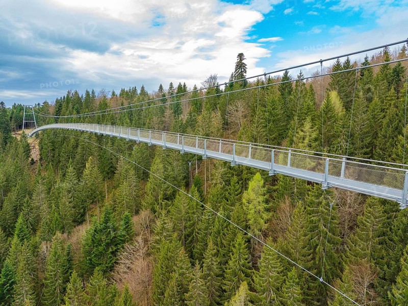 Steel suspension bridge surrounded by conifers and blue sky, Wildline Suspension Bridge, Bad Wildbad, Black Forest, Germany