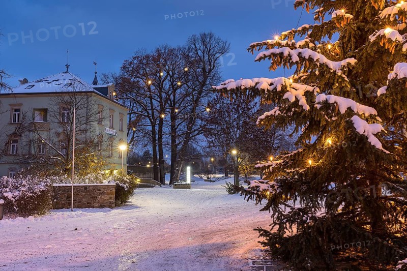 Christmas tree in front of the town hall, in the background the local history museum Karrasburg with star tree at dusk in the snow, Coswig, Saxony, Germany