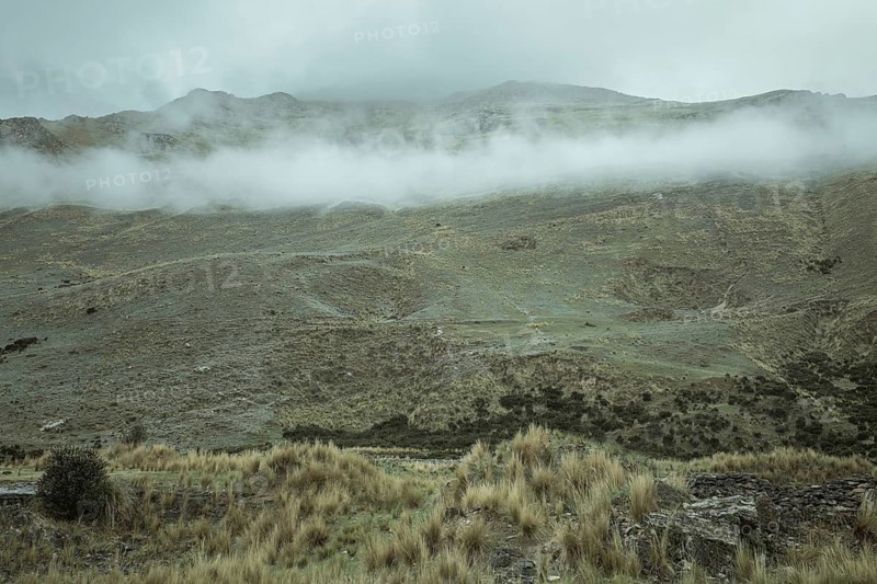 Landscape in the highlands, early morning fog, Chacapalpa, Peru