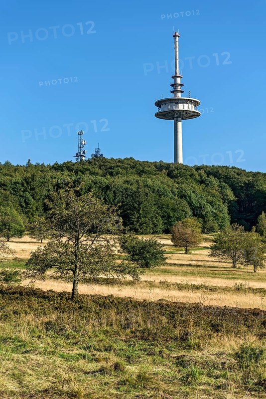 German Telekom telecommunications tower, transmission tower, forest, dry meadows, Hoherodskopf summit, excursion destination, Schotten, Vogelsberg Volcano Region nature park Park, Hesse, Germany