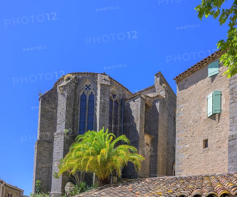 Palm tree in front of the Eglise de l'Assomption in Mourèze, Département Hérault, France