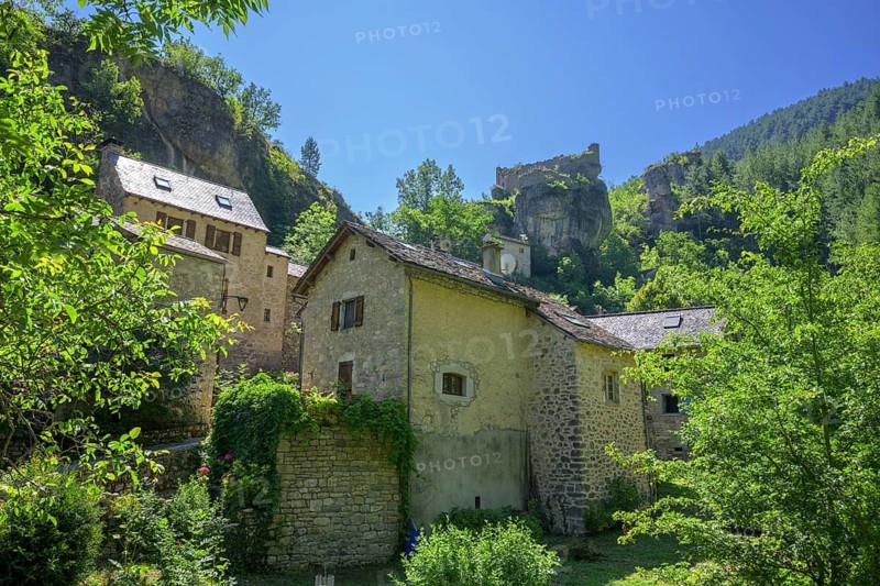 Place between rocks in the Tarn Gorge, Gorges du Tarn Causses, Castelbouc, Département Lozère, France