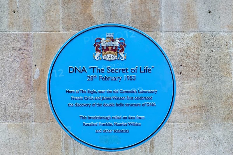 Blue plaque DNA 'The Secret of Life', Eagle Pub wall, Cambridge, Cambridgeshire, England, UK, discovery of DNA by Crick and Watson