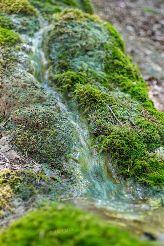 Natural phenomenon in the forest, stone channel of Roschlaub, Scheßlitz, Upper Franconia, Bavaria, Germany