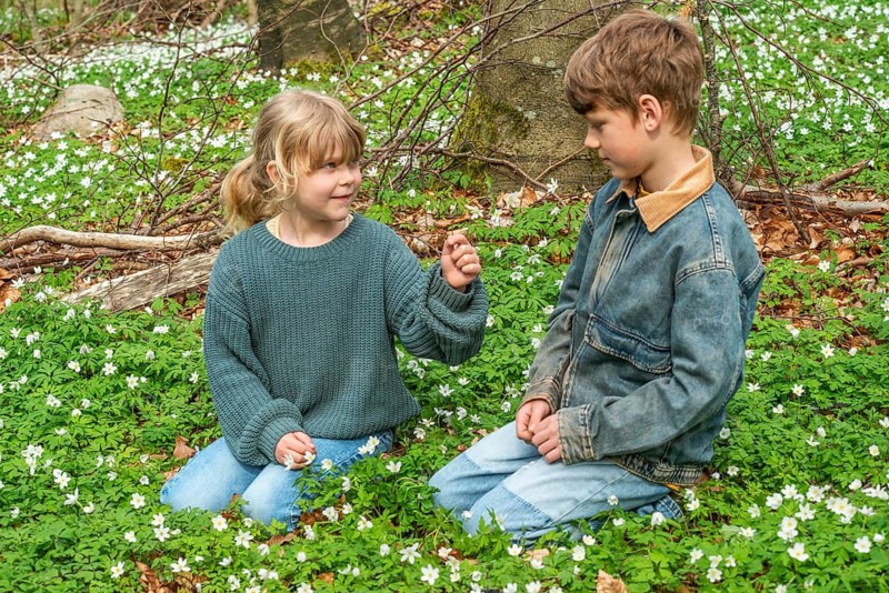 Two blond children, 6 and 8 years old, pick wood anemones (Anemone nemorosa) in spring in Ystad municipality, Skåne county, Sweden, Scandinavia