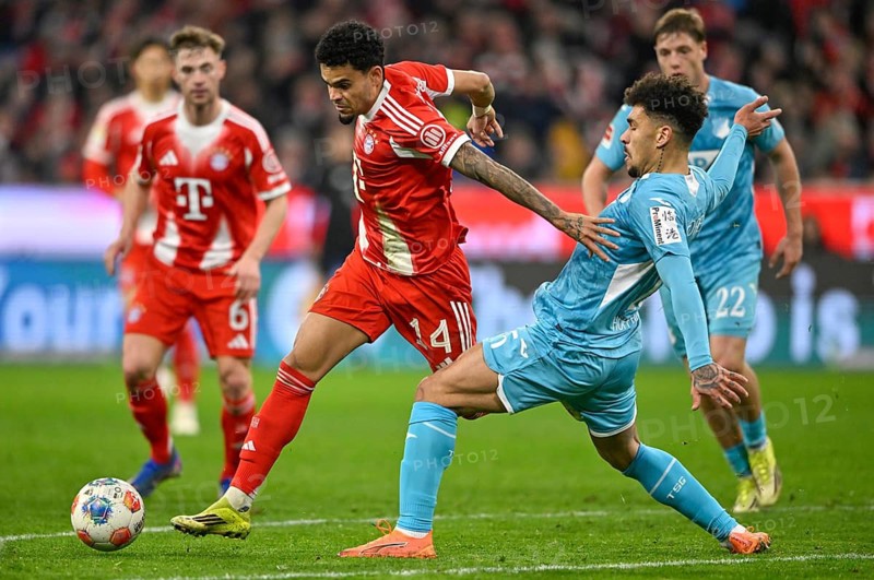 Duel, action Luis Diaz FC Bayern Munich FCB (14) against Valentin Gendrey TSG 1899 Hoffenheim (15) Soccer Bundesliga, Allianz Arena, Munich, Bavaria, Germany