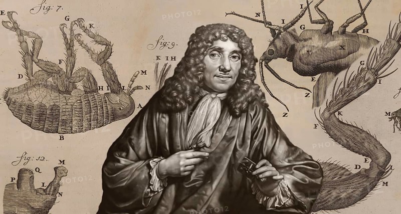Antonie Philips van Leeuwenhoek, 1632 – 1723, a Dutch microbiologist and microscopist