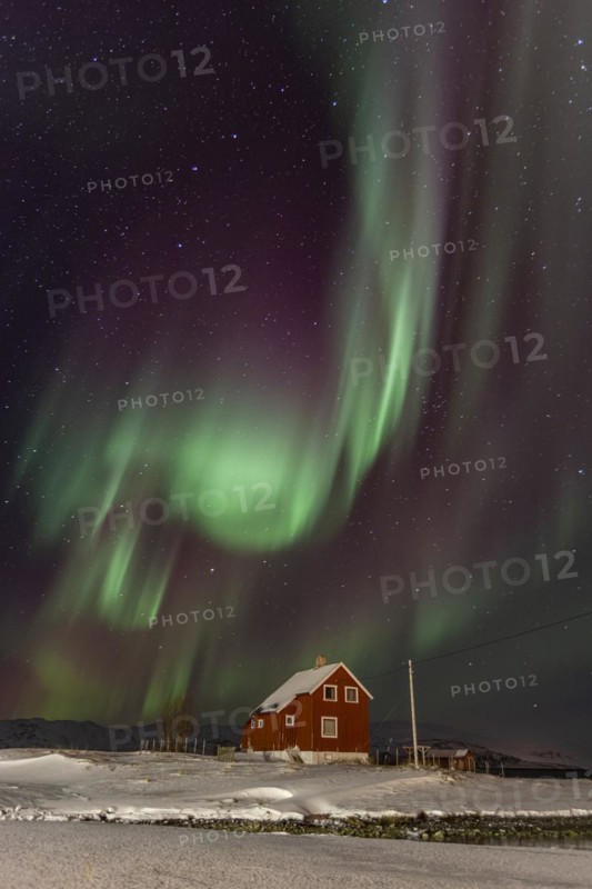 Green and violet northern lights over a red house on the coast, aurora borealis, winter, snow, Repparfjord, Finnmark, Norway