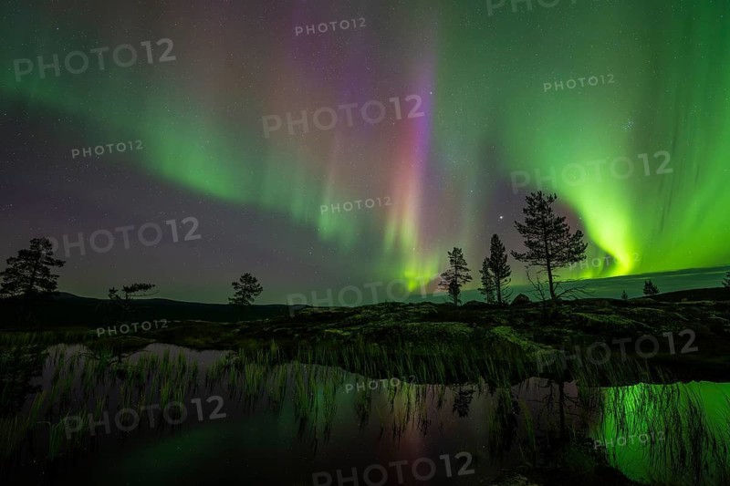 Northern Lights (Aurora borealis) reflected in a mountain lake, Norrbotten, Lapland, Sweden, September 2024