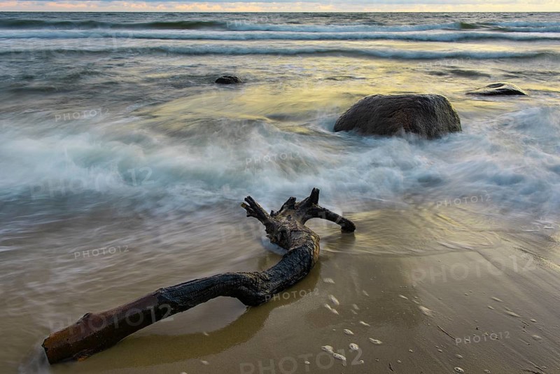 Evening on the chalk coast in Jasmund National Park, Rügen, Sassnitz, Mecklenburg-Western Pomerania, Germany