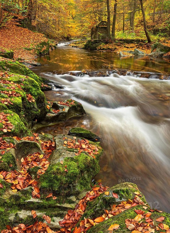 Geotope strudel pots, moss-covered rocks with colorful leaves on the Schwarza river surrounded by forest in autumn, Schwarzatal nature reserve between Bad Blankenburg and Schwarzburg, Thuringia, Germany