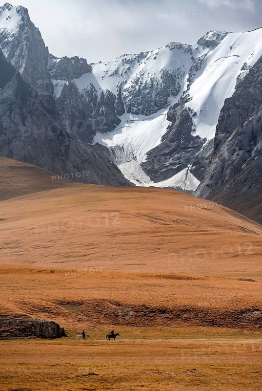 Rider in front of mountain landscape with yellow meadows, mountain peak, Keltan Mountains, Sary Beles Mountains, Tien Shan, Naryn Province, Kyrgyzstan