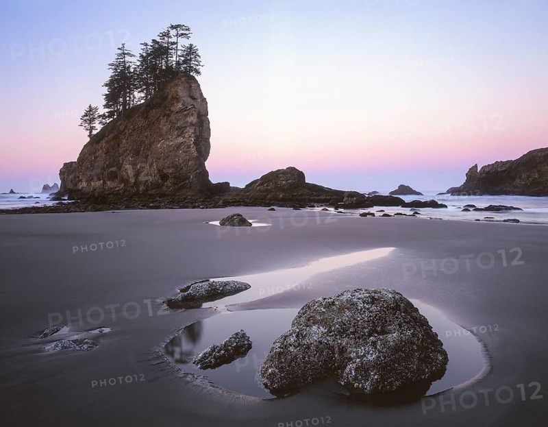 Soft pastel hues color the sky as dawn breaks over Second Beach. Sea stacks, tide pools, and wet sand reflect the peaceful morning light along the rugged Washington coast