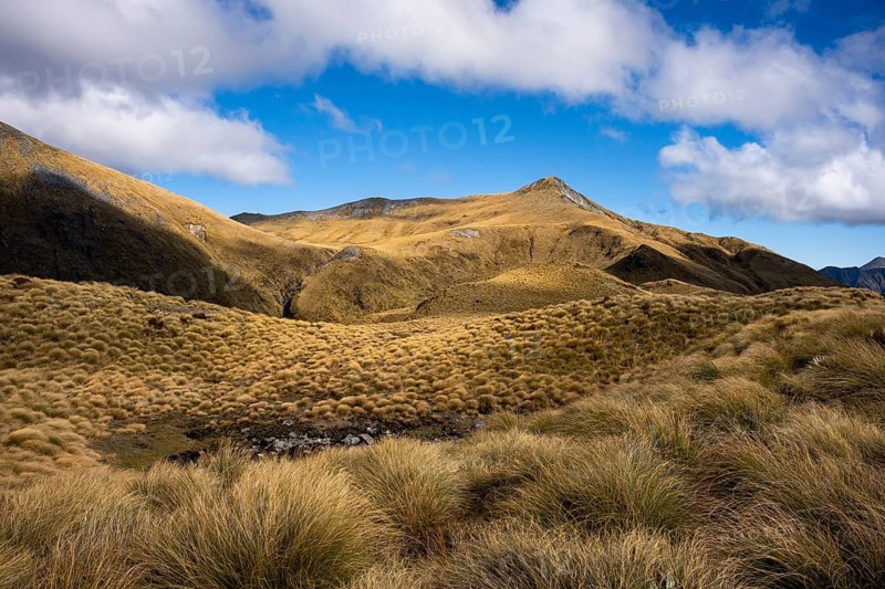 Mountain landscape, Mount Burns, Borland Road Area, Fiordland National Park, Southland Region, South Island, New Zealand