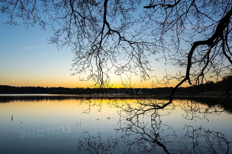 Sunrise at Ahlhorn fish ponds, Ahlhorn, Lower Saxony, Germany