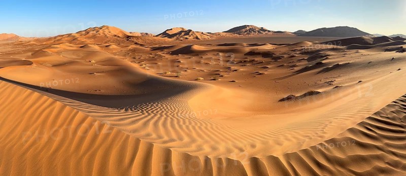 Sand dunes in the Rhub al Khali desert, empty quarter, largest sandy desert in the world, Oman