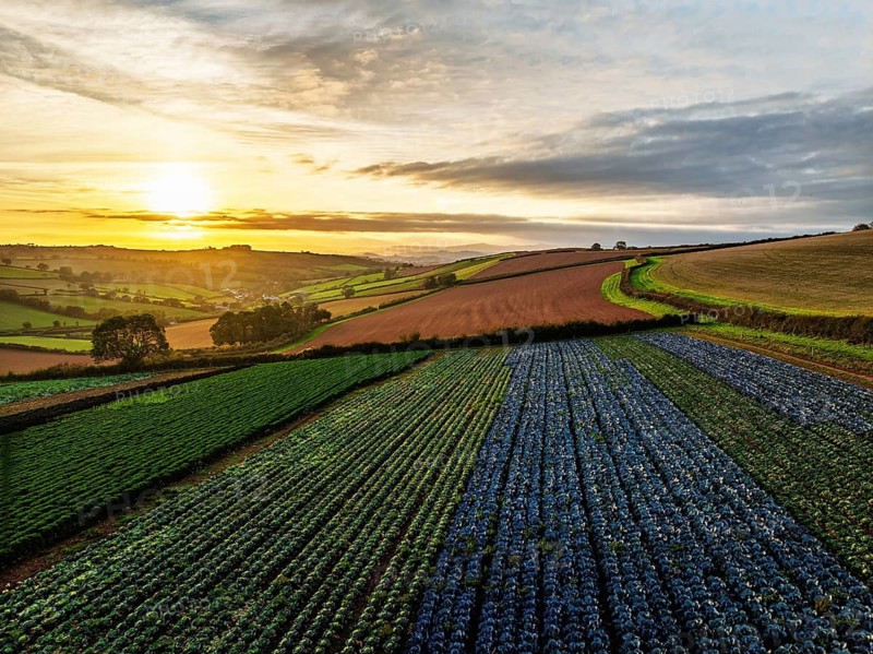 Colours of autumn Fields and Farms over Sheldon from a drone, Torbay, Devon, England, United Kingdom