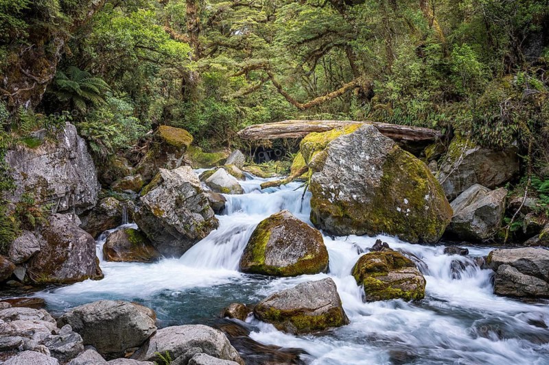 Landscape in New Zealand with river and forest. Waterfalls Marian Falls, Fiordland National Park, Southland Region, South Island, New Zealand