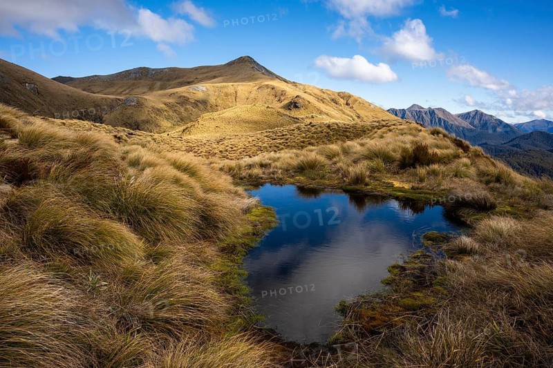 Mountain landscape with a small lake. Mount Burns, Borland Road Area, Fiordland National Park, Southland Region, South Island, New Zealand