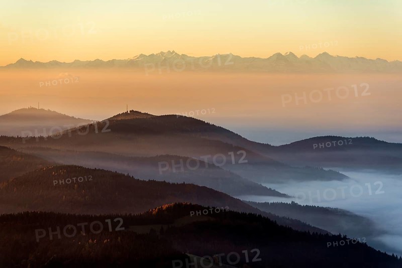 View from Belchen heading south of Wiesental and the Swiss Alps, morning atmosphere with fog in autumn, sunrise, Belchen, Black Forest, Southern Black Forest, Baden-Württemberg, Germany