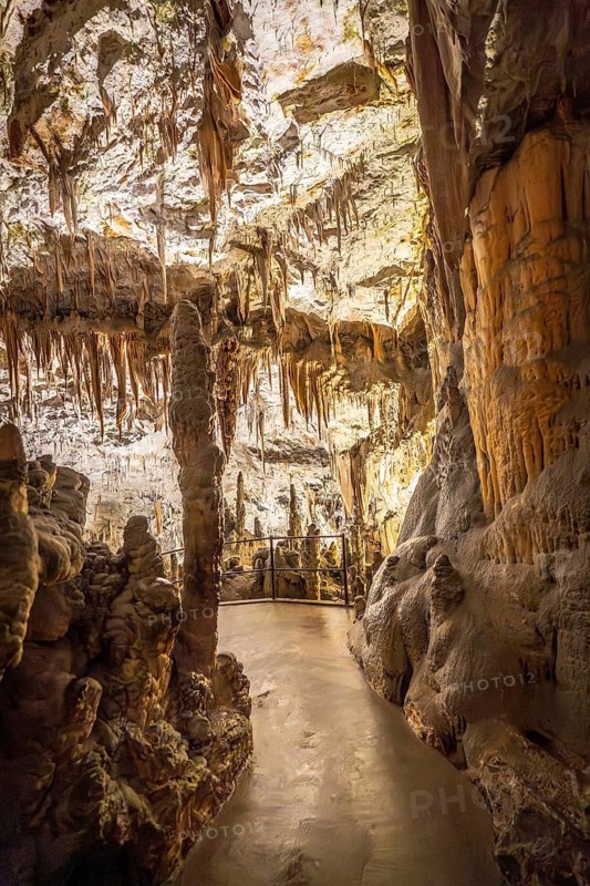 Pathway winding through illuminated stalactites and stalagmites inside postojna cave, a famous tourist attraction in slovenia