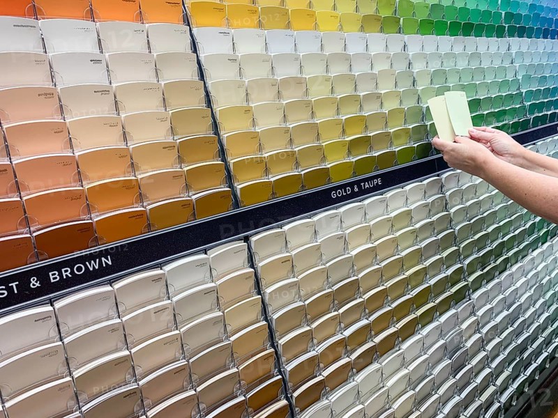 Customer Views Paint Swatches In Paint Store at Colourful Sample Rack
