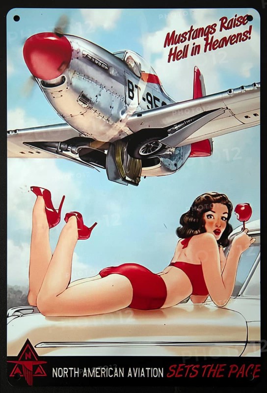 Sign, signs, tin signs, advertising signs, advertisement, nostalgia, old, old, advertising signs, product advertising, company logo, company, companies, trademark, collection, travel, Mustang travel, North American Avitation, PIN UP, Lower Saxony, Federal Republic of Germany