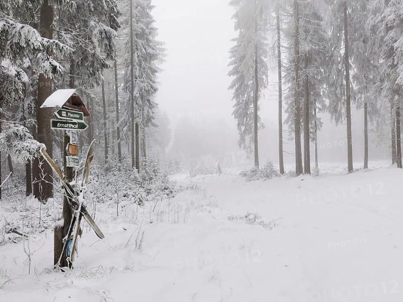 Snowy forest trail with signpost hanging on the ski in fog, Rennsteig, Thuringian Forest nature park Park