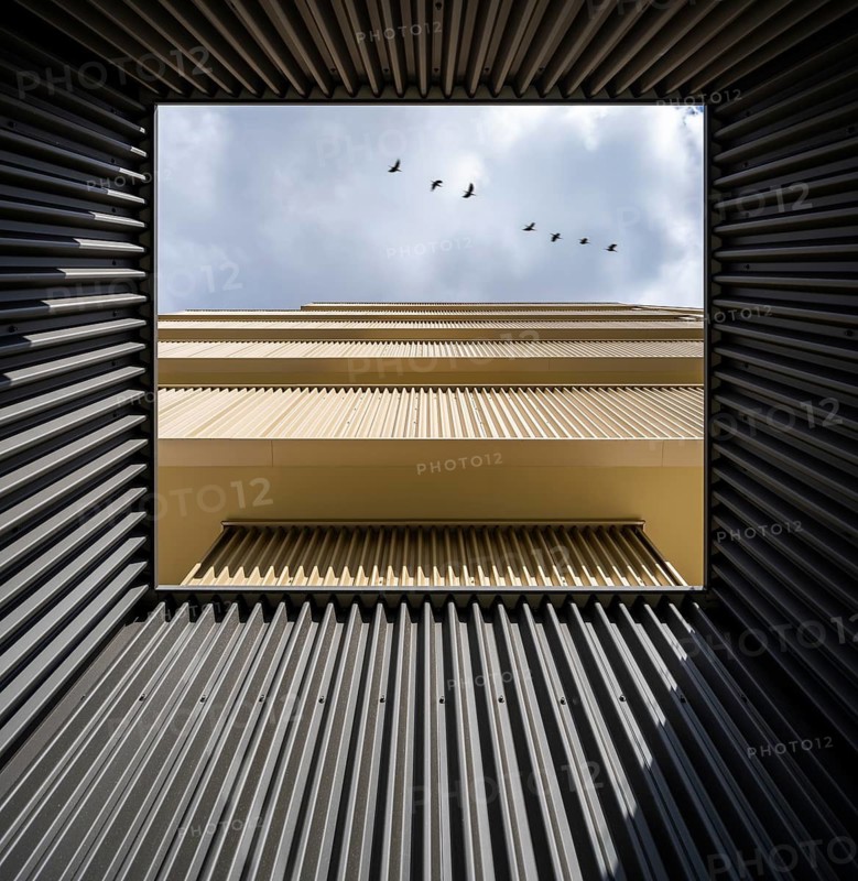 From below unique perspective of a sustainable building showcasing a creative amalgamation of modern design and eco-friendly features. The focus on clean lines