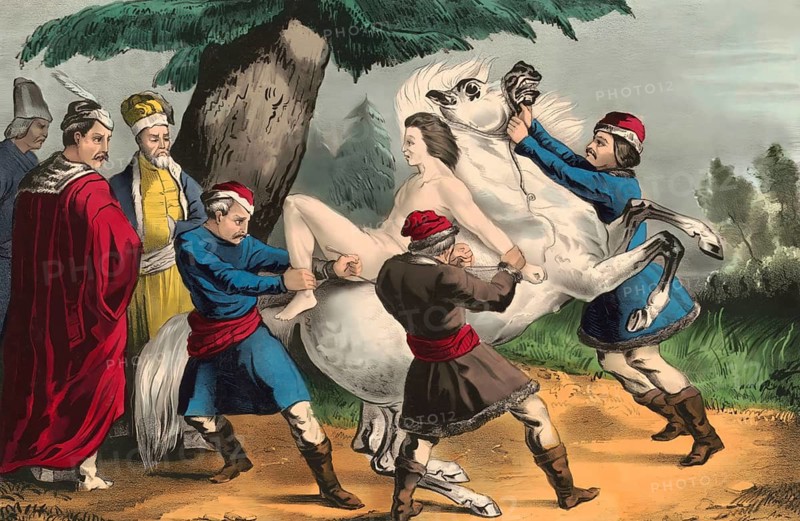 Scene from Mazeppa, a narrative poem written by Lord Byron in 1819, digital edited