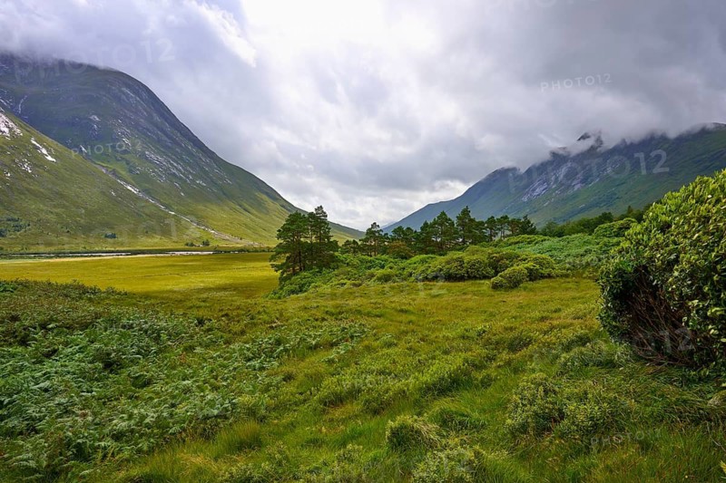 A green valley with trees surrounded by high mountains and thick cloud cover, Loch Etive, Argyll and Bute, Scotland, United Kingdom, Great Britain