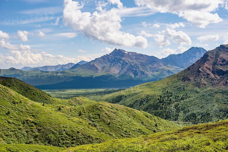 Tundra and mountainous landscape of the Alaska Range, Sable Pass, Denali National Park and Preserve, Alaska, USA