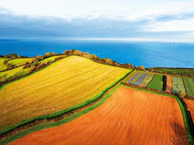 Colours of autumn Fields and Farms over Sheldon from a drone, Torbay, Devon, England, United Kingdom